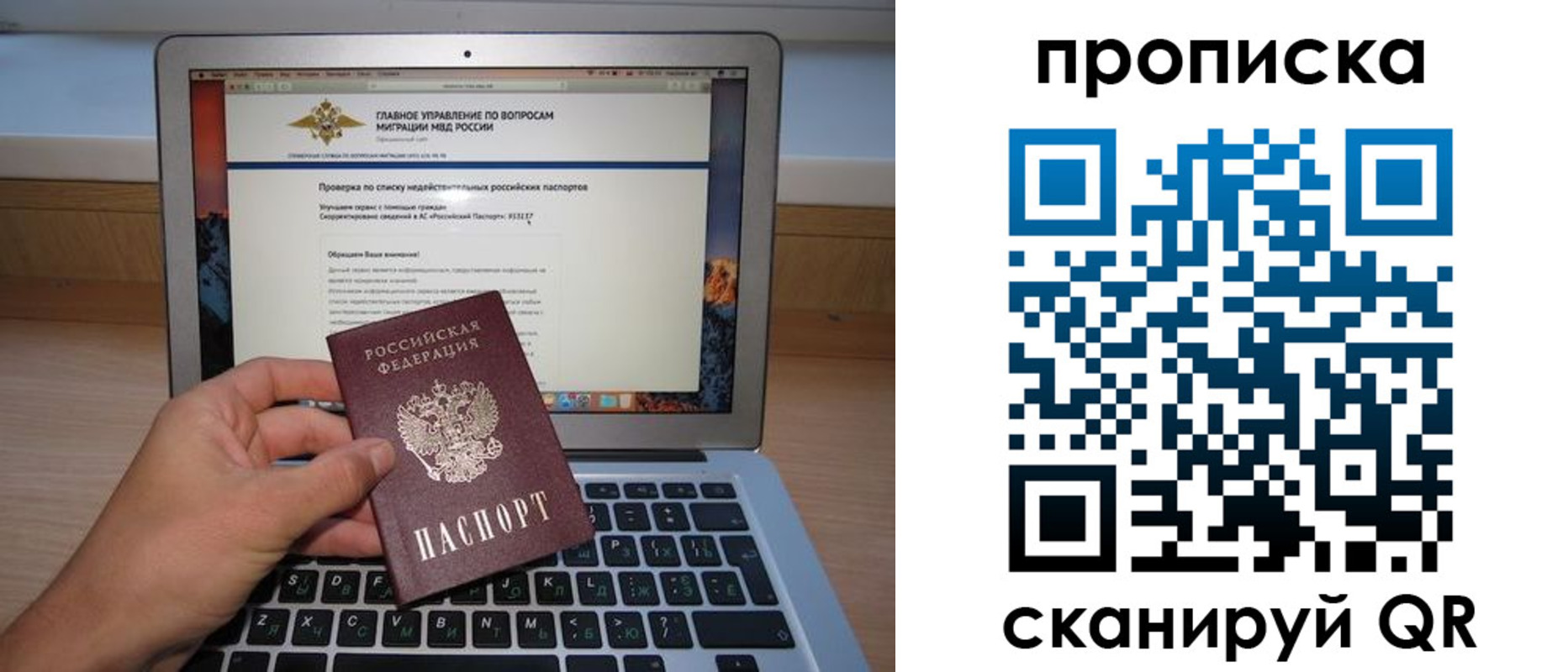 прописка поиск в Стародубе