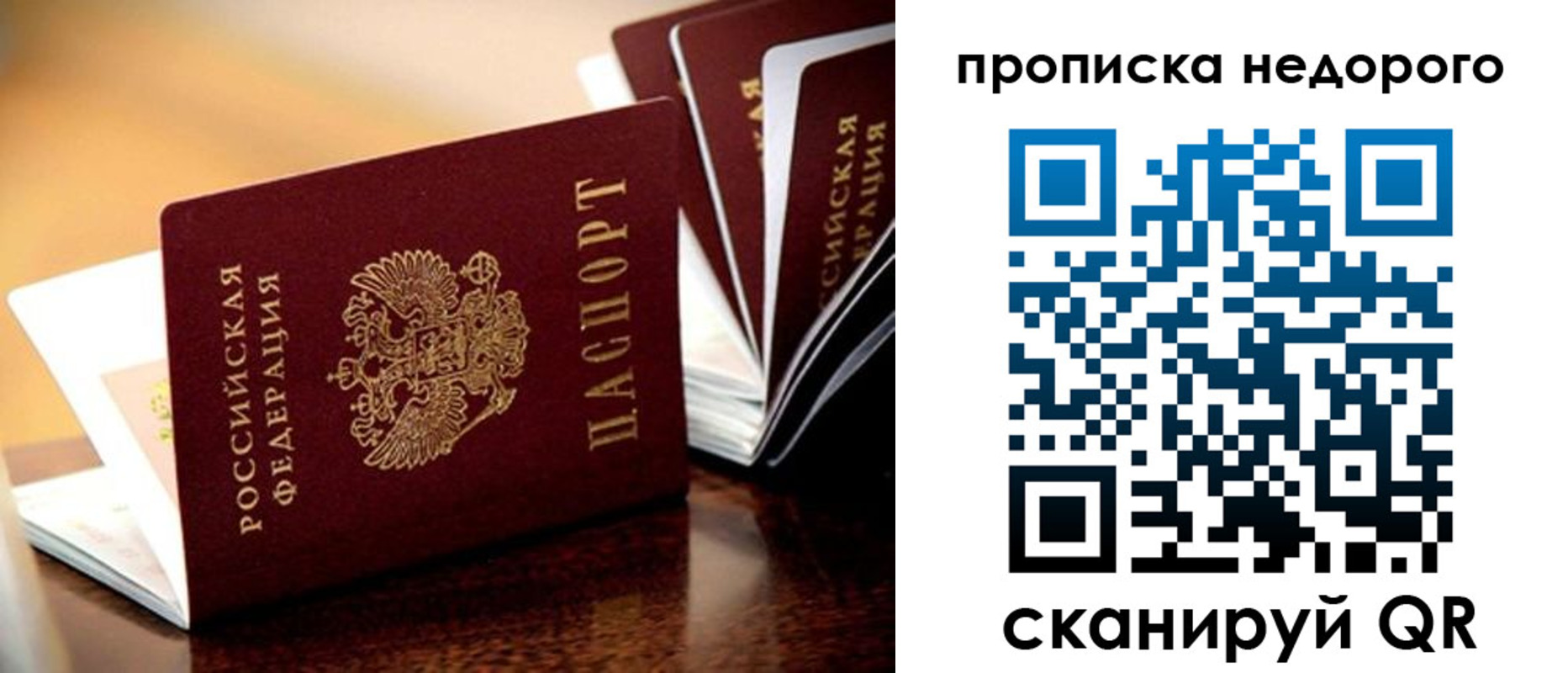 пропишу в квартире в Стародубе